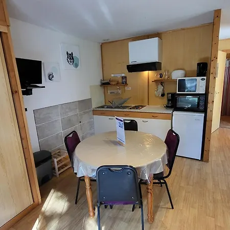 2p Avec Terrasse Et Animaux - La Tania - Fr-1-513-95 * Courchevel