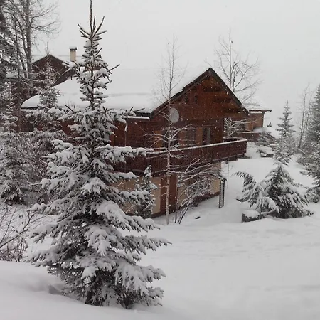 Apartment 2p Avec Terrasse Et Animaux - La Tania - Fr-1-513-95 Courchevel